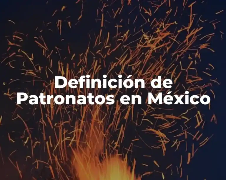 Definición de Patronatos en México