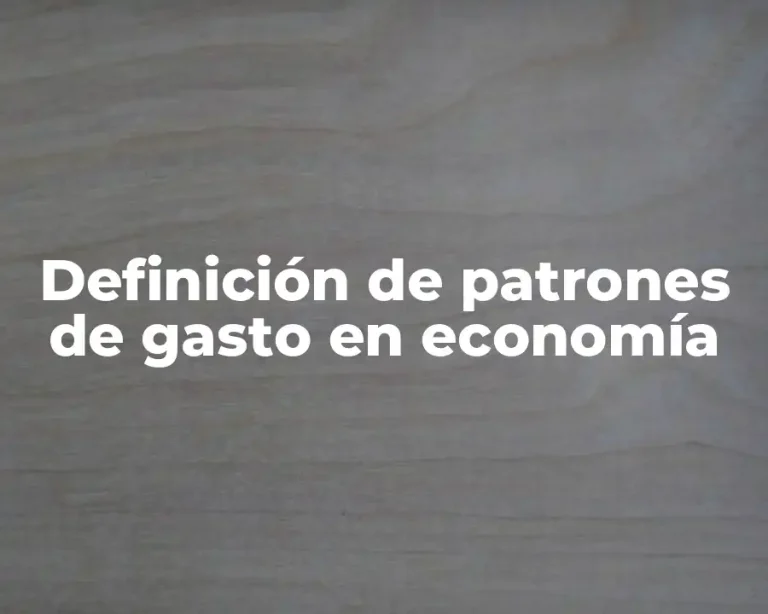 Definición de patrones de gasto en economía