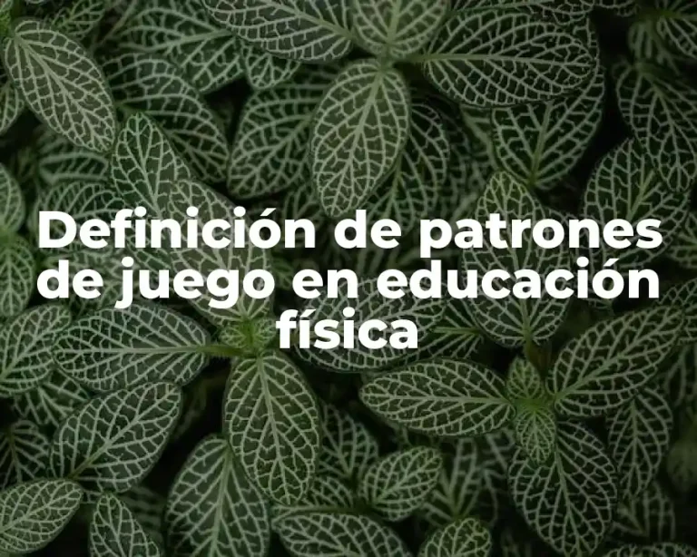 Definición de patrones de juego en educación física