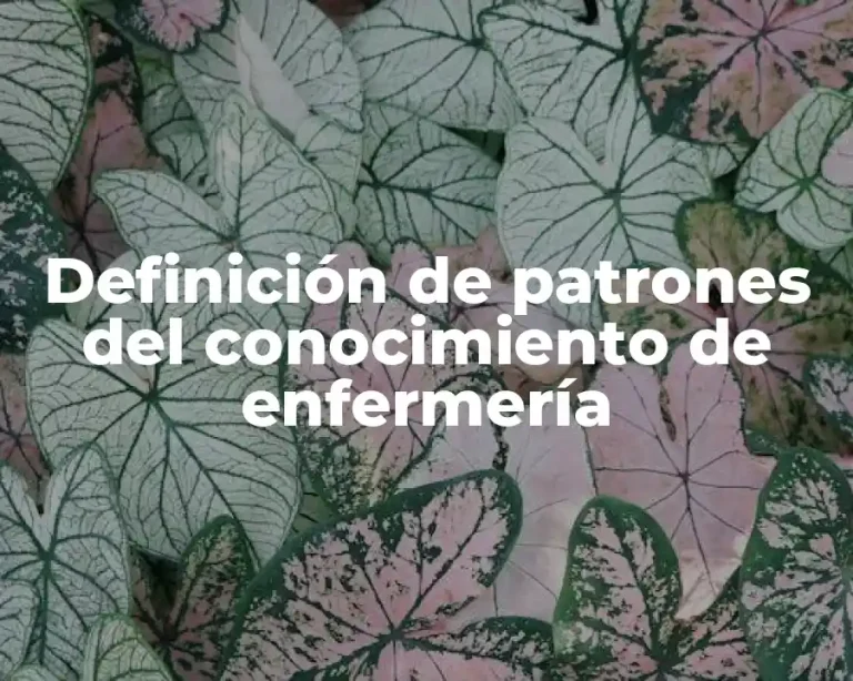 Definición de patrones del conocimiento de enfermería