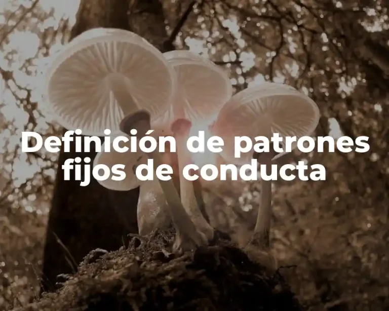 Definición de patrones fijos de conducta