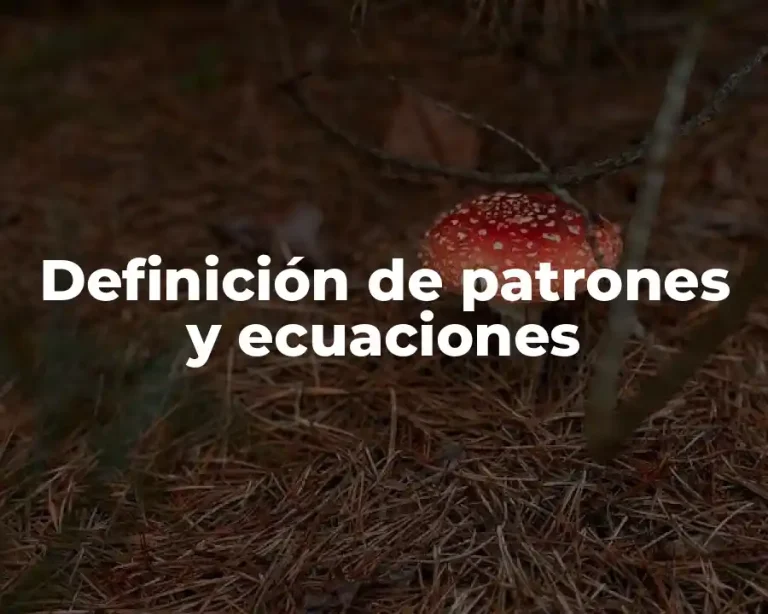 Definición de patrones y ecuaciones