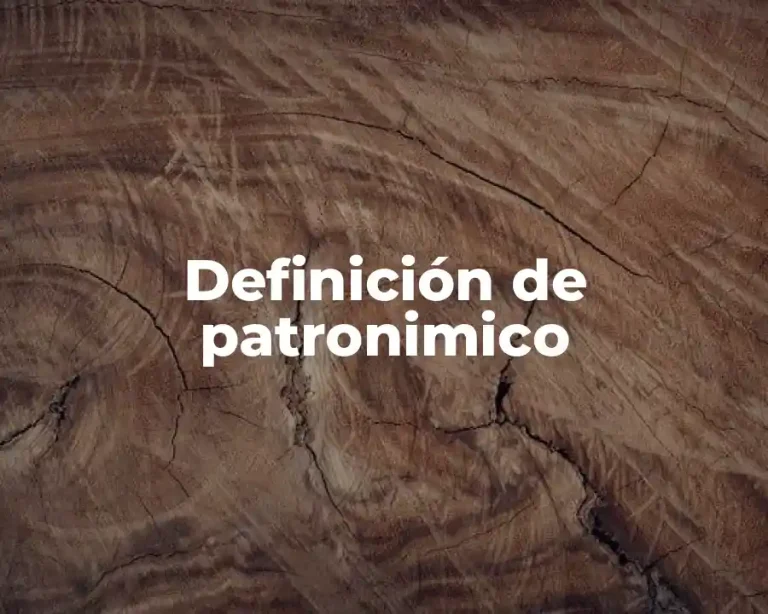 Definición de patronimico