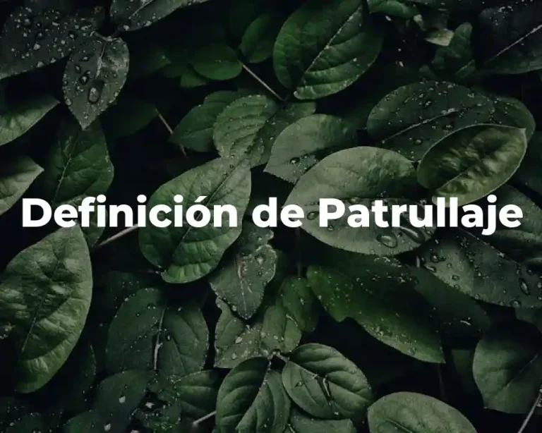 Definición de Patrullaje