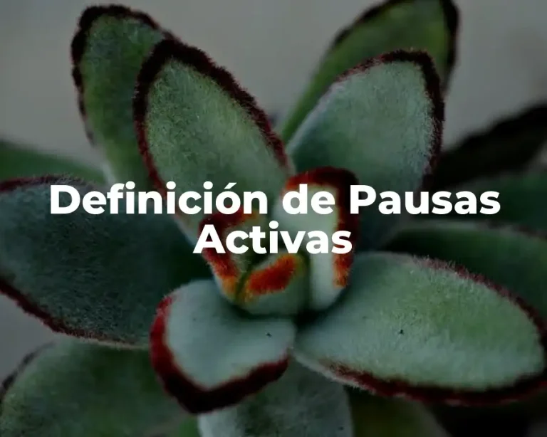 Definición de Pausas Activas