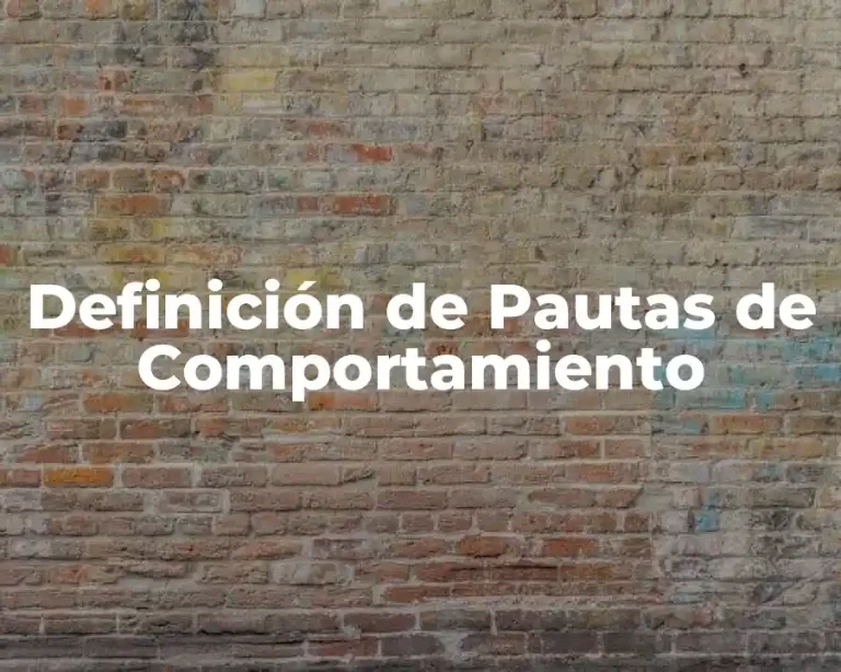Definición de Pautas de Comportamiento