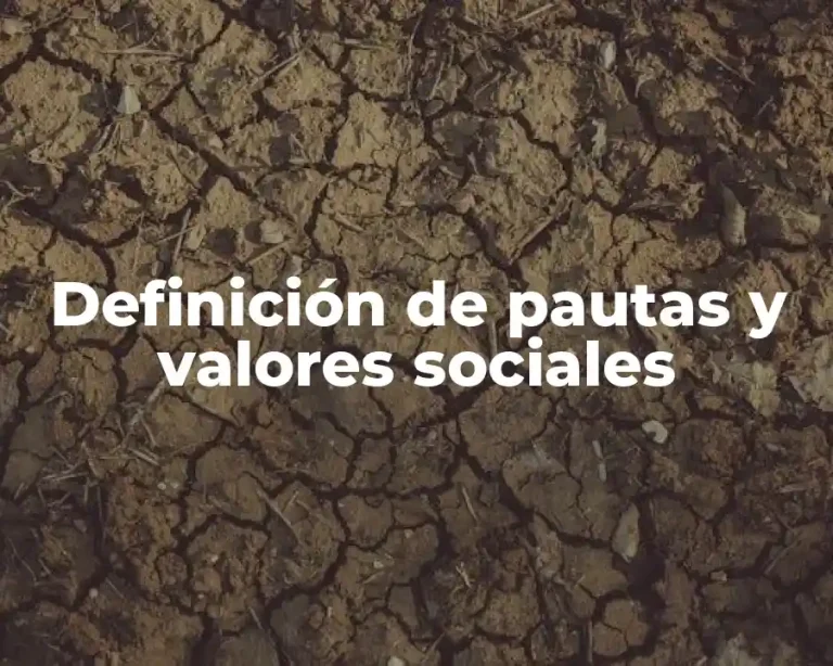 Definición de pautas y valores sociales