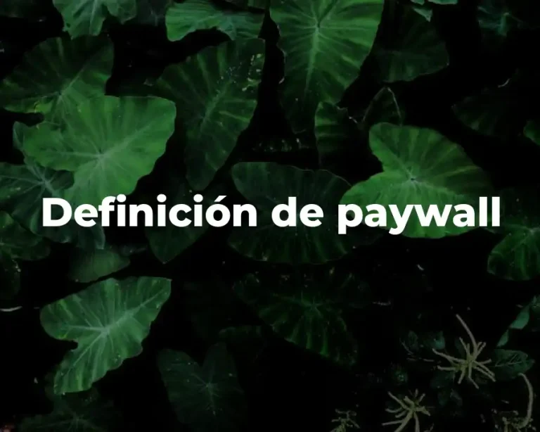 Definición de paywall