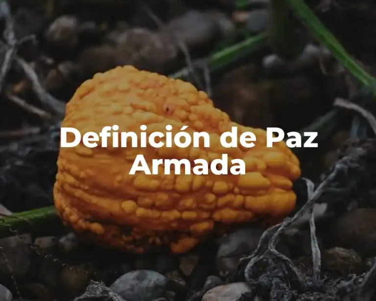Definición de Paz Armada