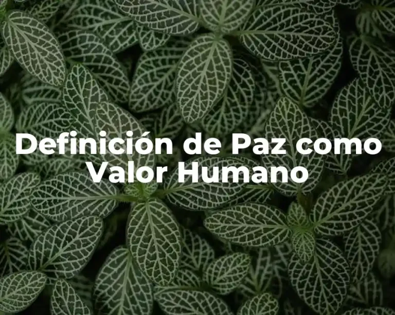 Definición de Paz como Valor Humano