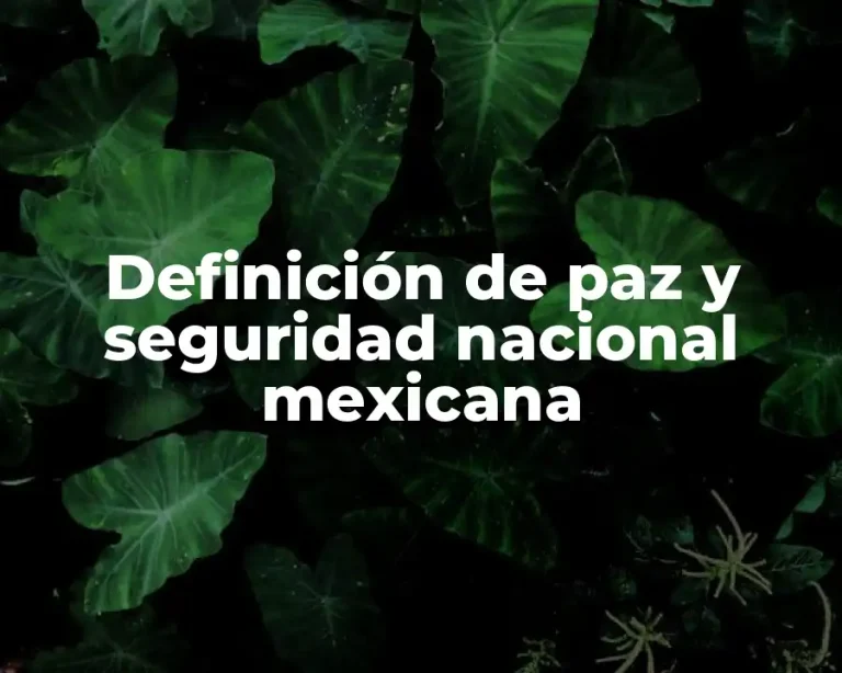 Definición de paz y seguridad nacional mexicana