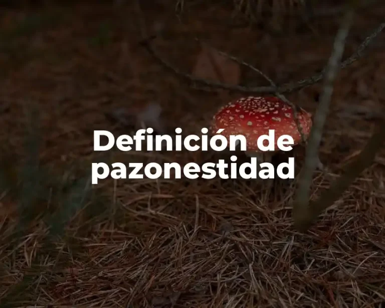 Definición de pazonestidad