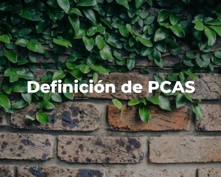 Definición de PCAS