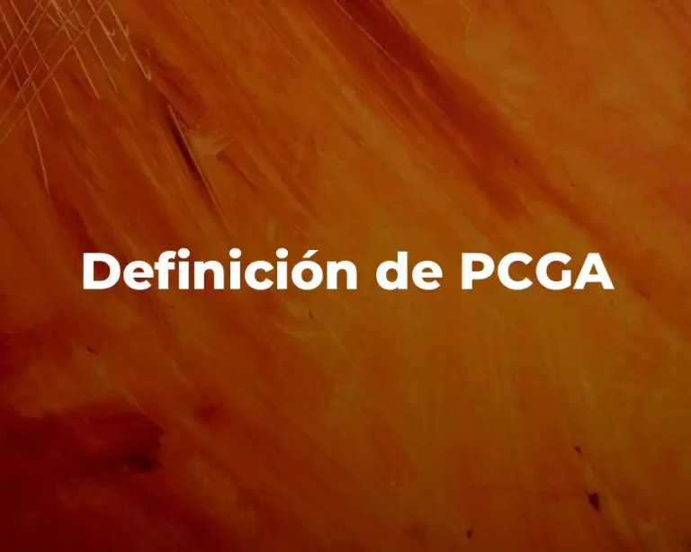 Definición de PCGA