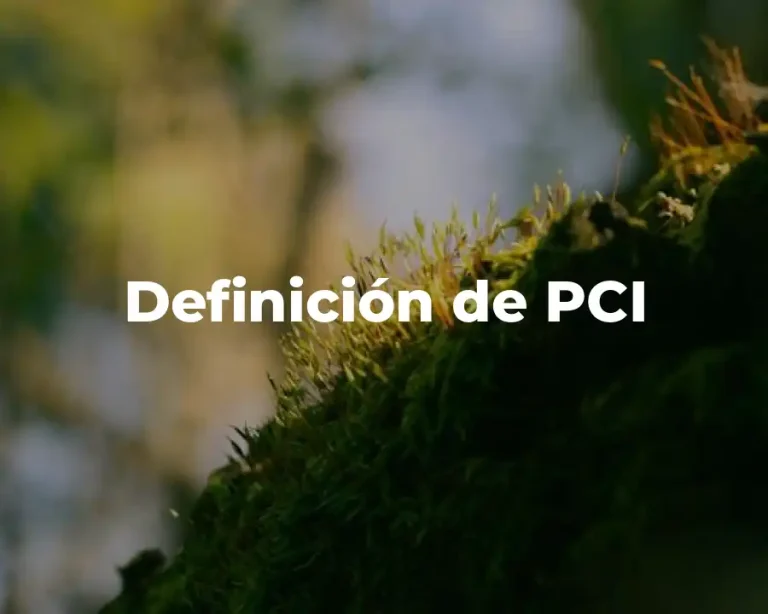 Definición de PCI