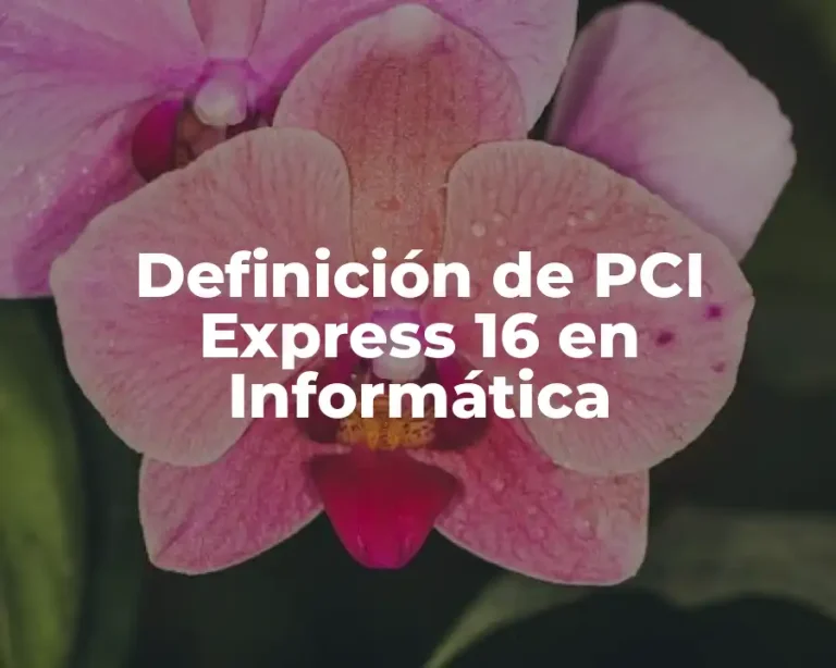 Definición de PCI Express 16 en Informática