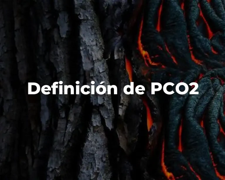 Definición de PCO2