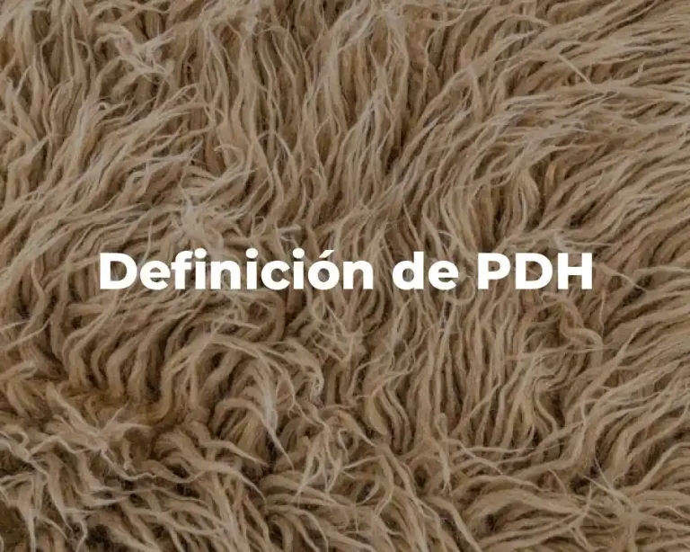 Definición de PDH