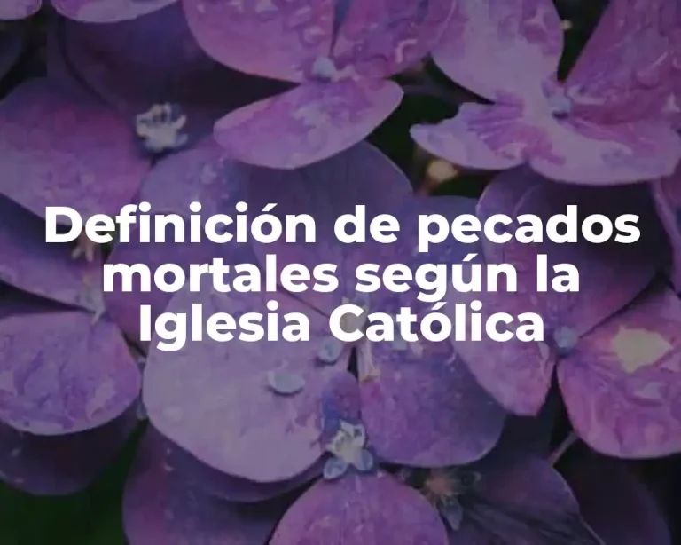 Definición de pecados mortales según la Iglesia Católica