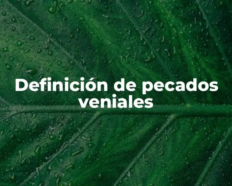 Definición de pecados veniales