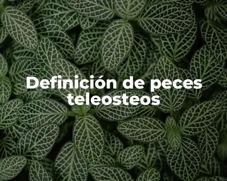 Definición de peces teleosteos