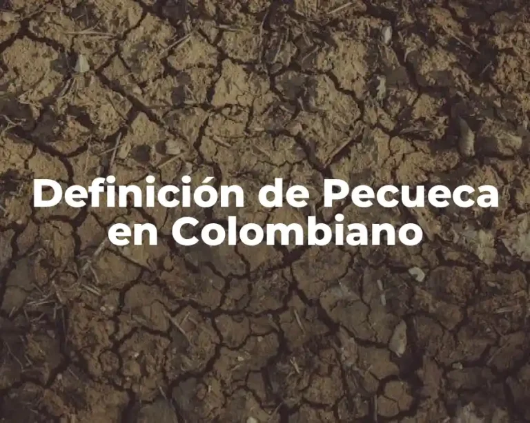 Definición de Pecueca en Colombiano