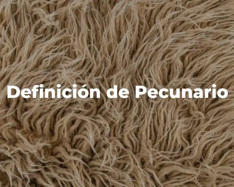 Definición de Pecunario
