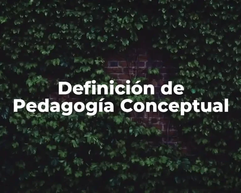Definición de Pedagogía Conceptual