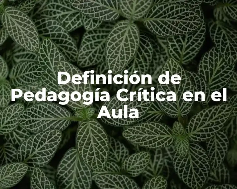 Definición de Pedagogía Crítica en el Aula