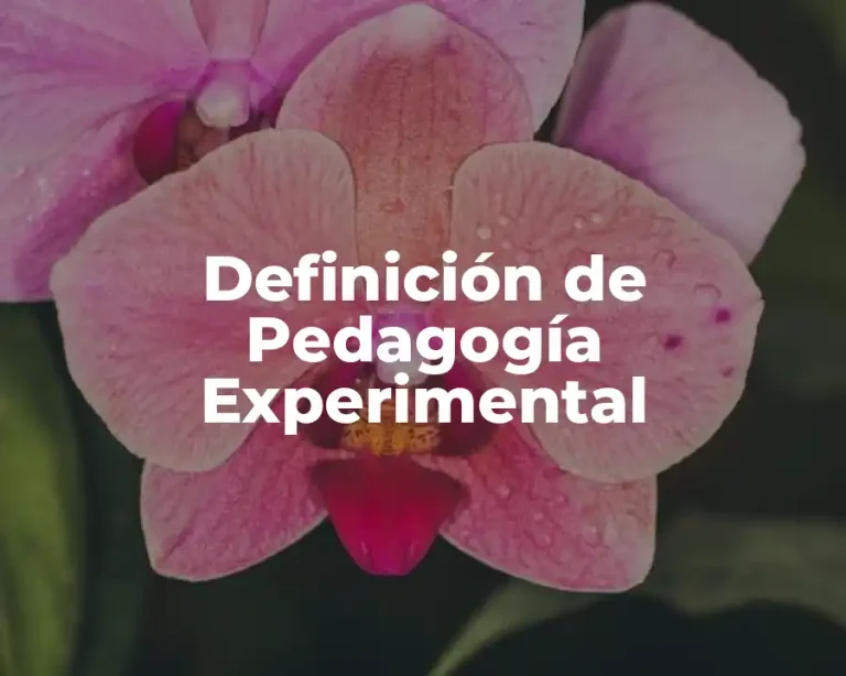 Definición de Pedagogía Experimental