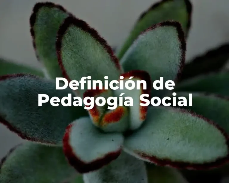 Definición de Pedagogía Social