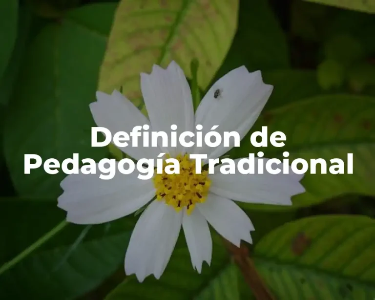 Definición de Pedagogía Tradicional