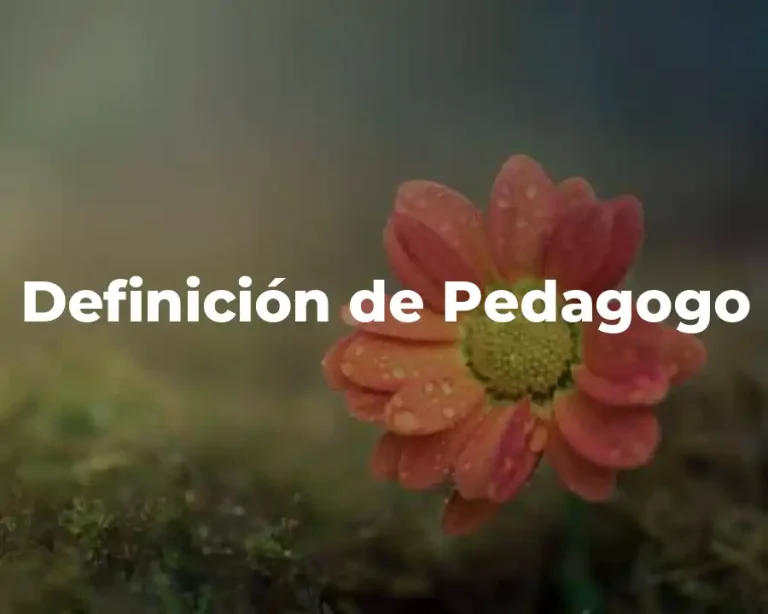 Definición de Pedagogo