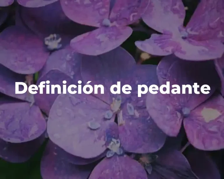 Definición de pedante