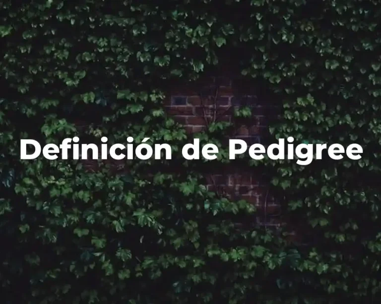 Definición de Pedigree