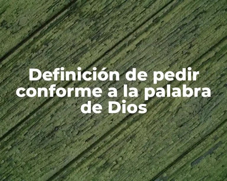 Definición de pedir conforme a la palabra de Dios