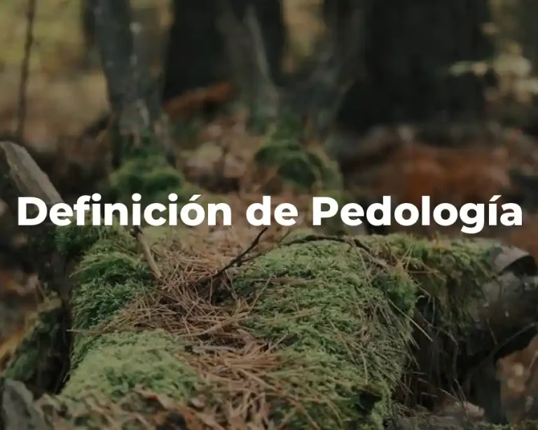 Definición de Pedología