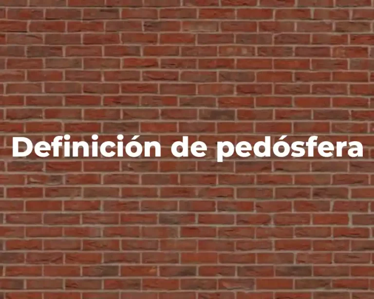 Definición de pedósfera