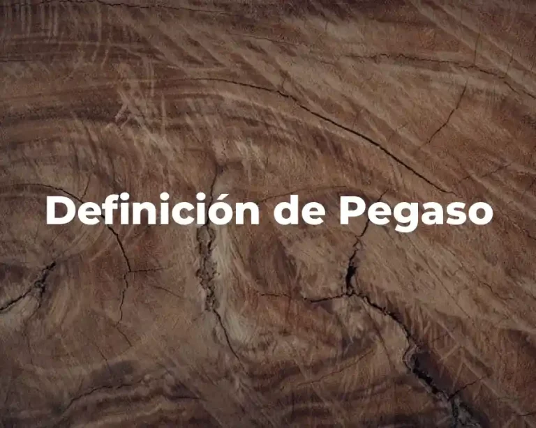 Definición de Pegaso