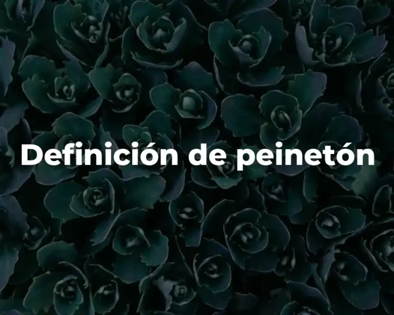 Definición de peinetón