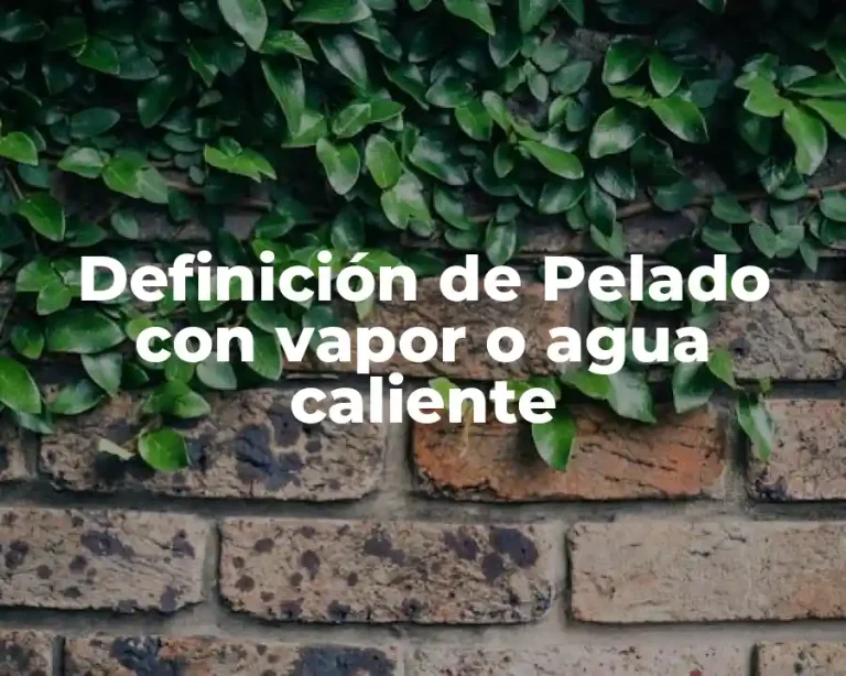 Definición de Pelado con vapor o agua caliente