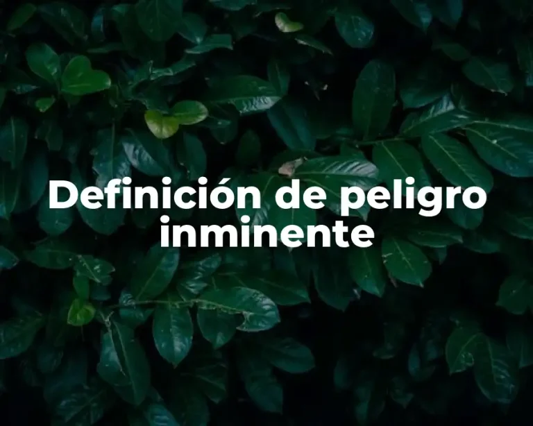 Definición de peligro inminente