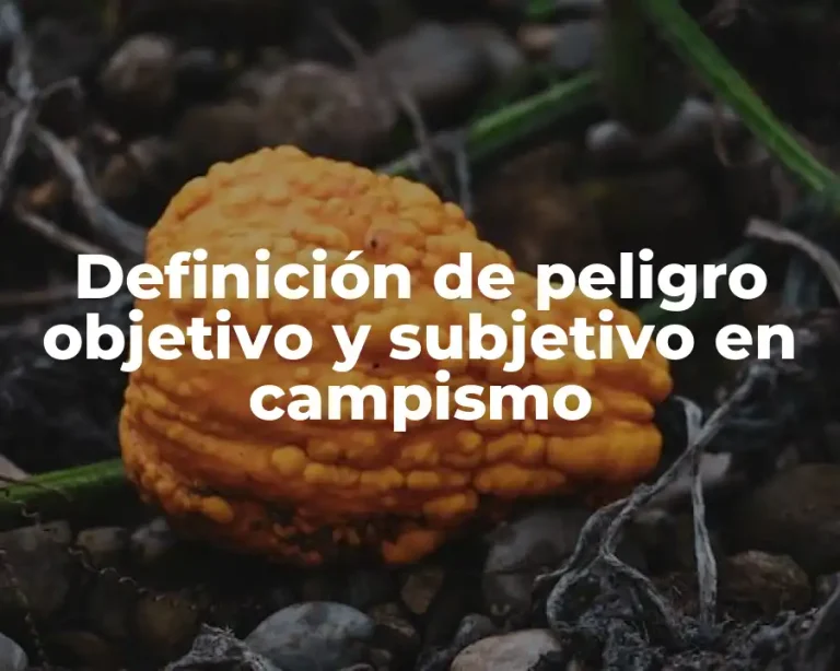 Definición de peligro objetivo y subjetivo en campismo