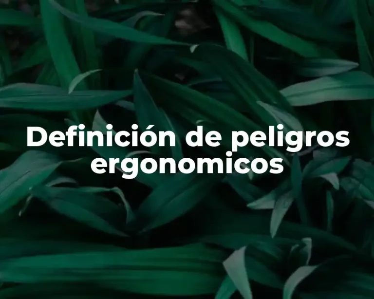Definición de peligros ergonomicos