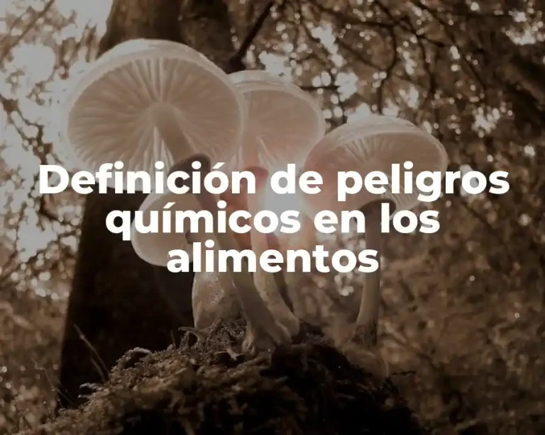 Definición de peligros químicos en los alimentos