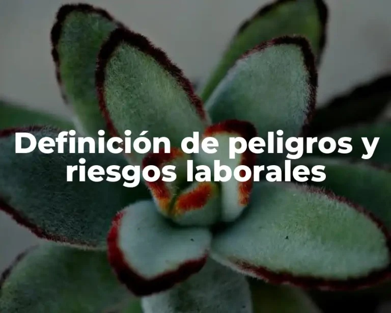Definición de peligros y riesgos laborales