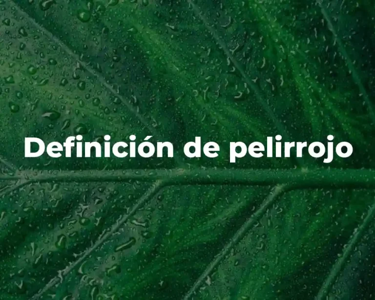 Definición de pelirrojo