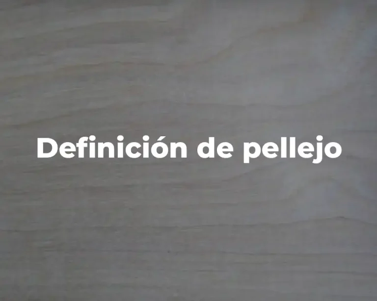 Definición de pellejo
