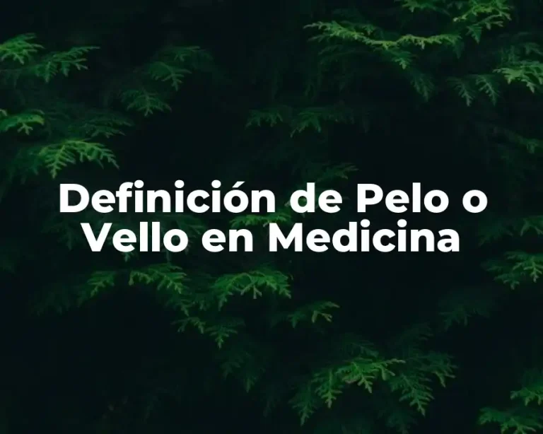 Definición de Pelo o Vello en Medicina