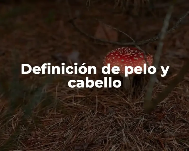 Definición de pelo y cabello